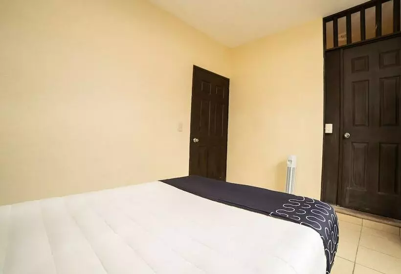 Fotos del hotel Capital O  Terracota:  2