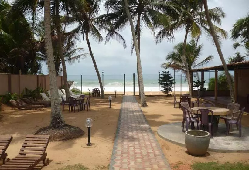 Fotos del hotel Ocean View Cottage:  21