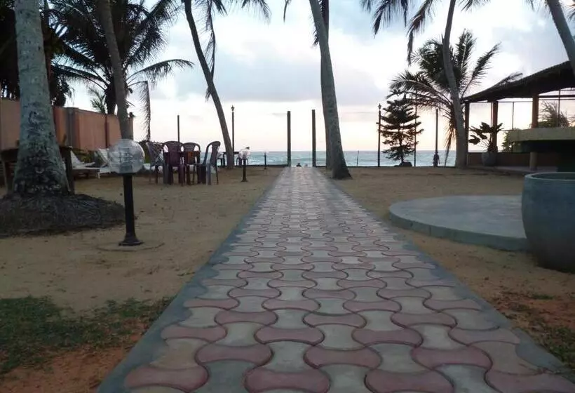 Fotos del hotel Ocean View Cottage:  24