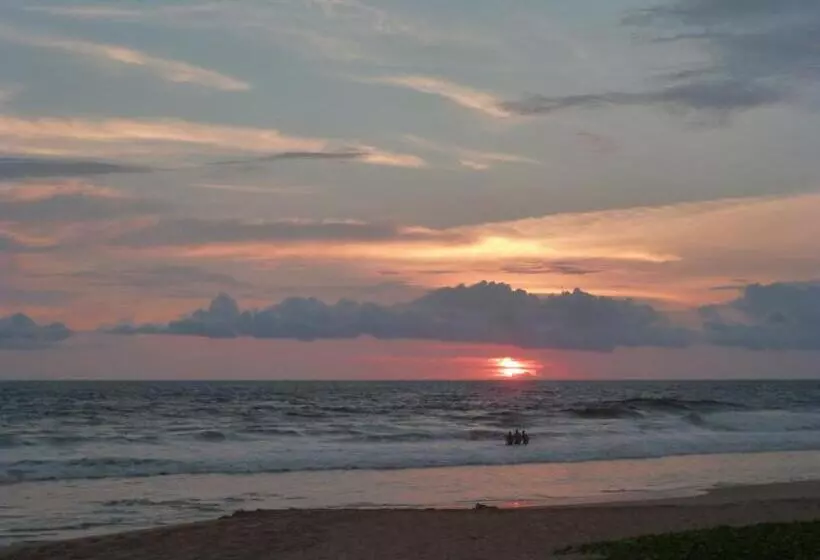 Fotos del hotel Ocean View Cottage:  11