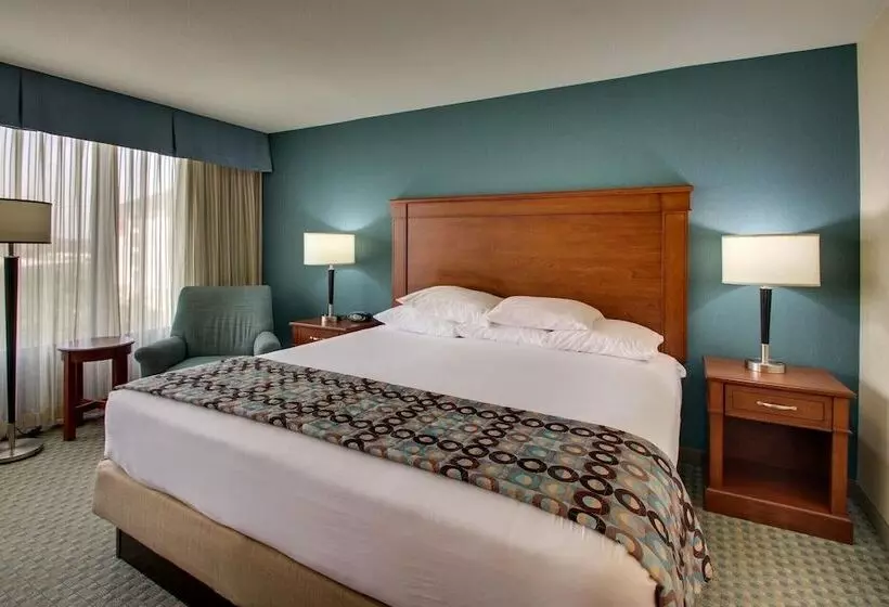 Fotos del hotel Greentree Hotel - Houston Hobby Airport:  22