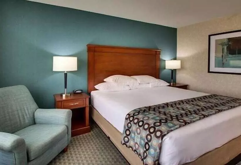 Fotos del hotel Greentree Hotel - Houston Hobby Airport:  14