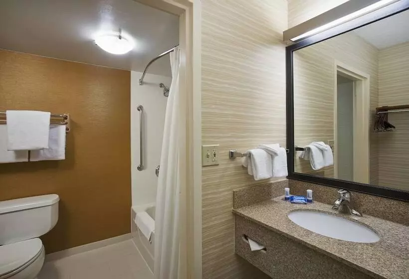 Fotos del hotel Fairfield Inn & Suites Chicago Midway Airport:  7