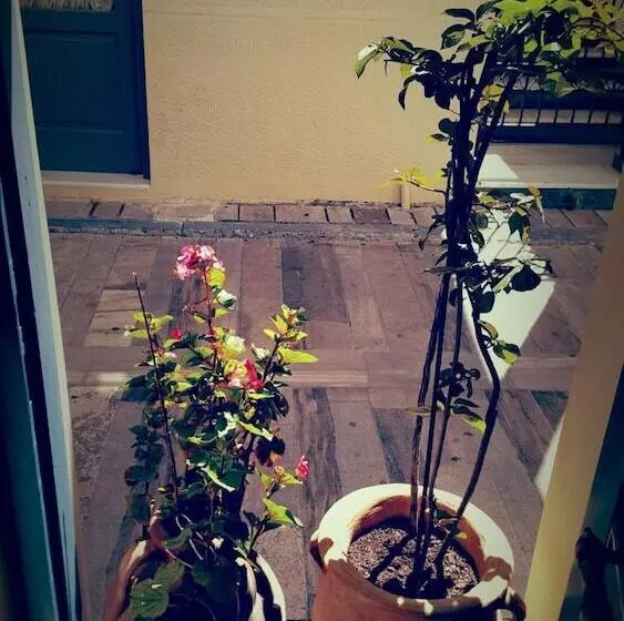 Fotos del hotel Polyxenia:  21
