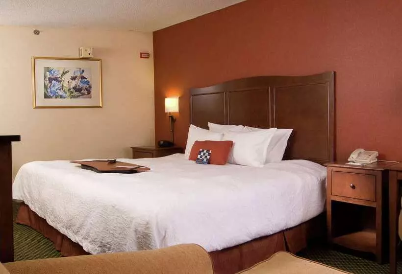 Fotos del hotel Hampton Inn Atlanta-north Druid Hills:  16