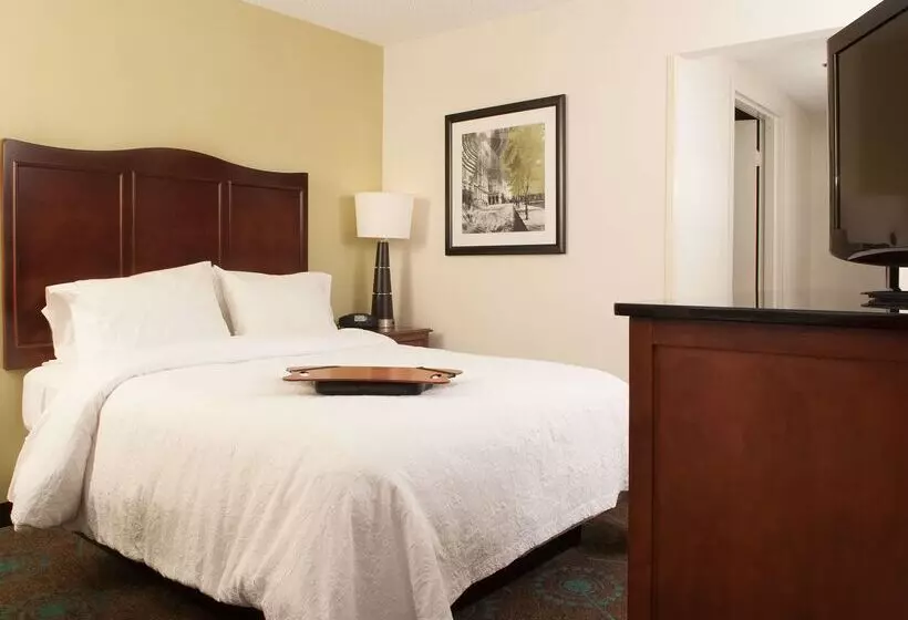 Fotos del hotel Hampton Inn Atlanta-north Druid Hills:  22