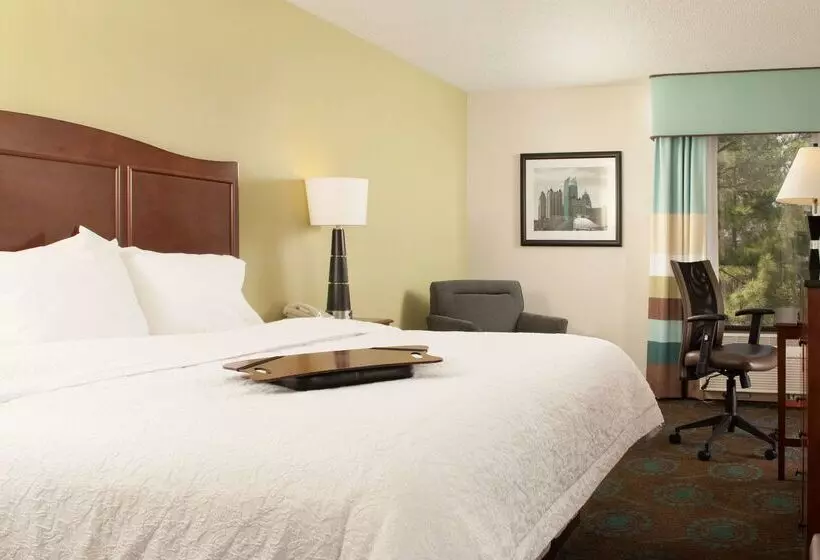 Fotos del hotel Hampton Inn Atlanta-north Druid Hills:  15