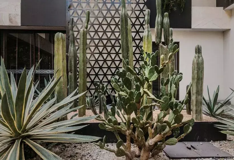 Fotos del hotel Grand Fiesta Americana Oaxaca:  16