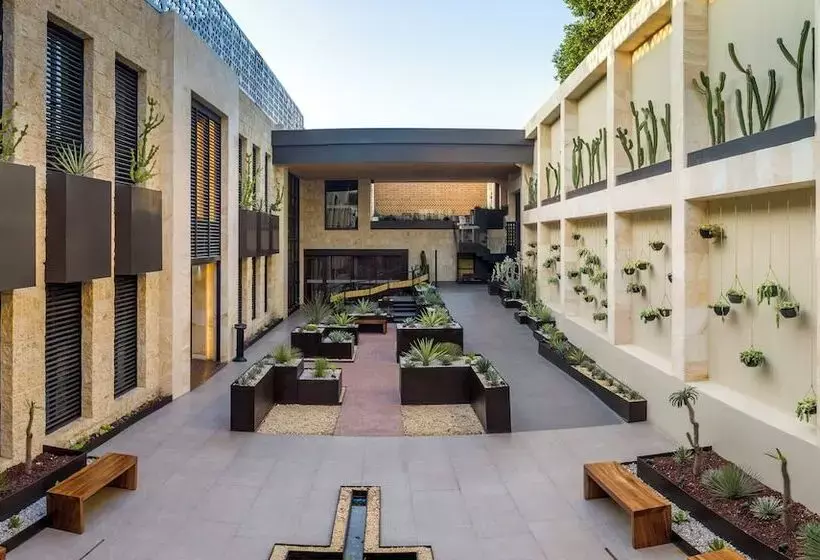 Fotos del hotel Grand Fiesta Americana Oaxaca:  31