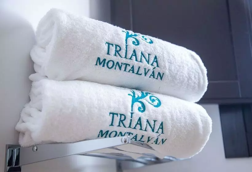 Fotos del hotel Triana Montalvan:  19