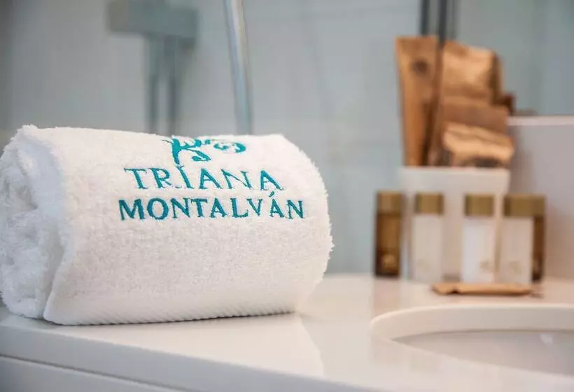 Fotos del hotel Triana Montalvan:  8