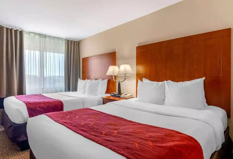 Fotos del hotel Comfort Suites North Dallas:  21