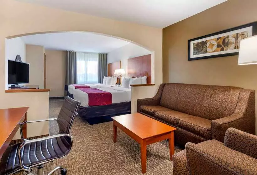 Fotos del hotel Comfort Suites North Dallas:  16