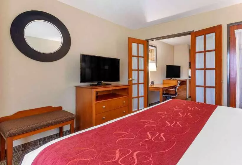 Fotos del hotel Comfort Suites North Dallas:  9