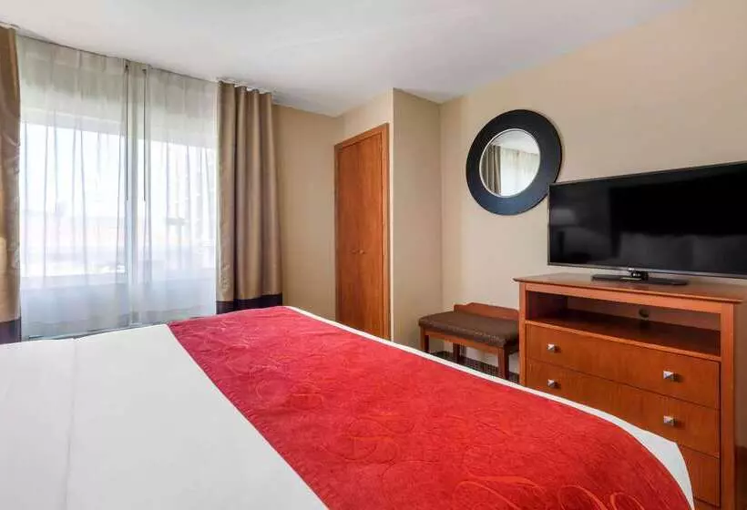 Fotos del hotel Comfort Suites North Dallas:  13