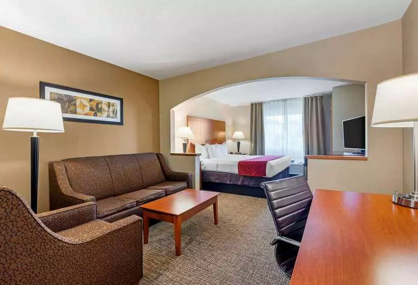 Fotos del hotel Comfort Suites North Dallas:  10