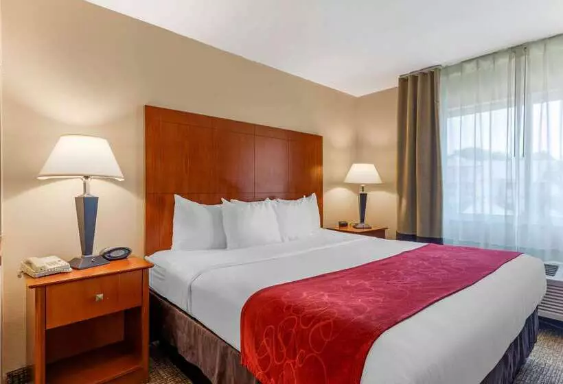 Fotos del hotel Comfort Suites North Dallas:  8