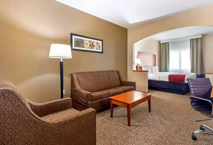 Fotos del hotel Comfort Suites North Dallas:  12