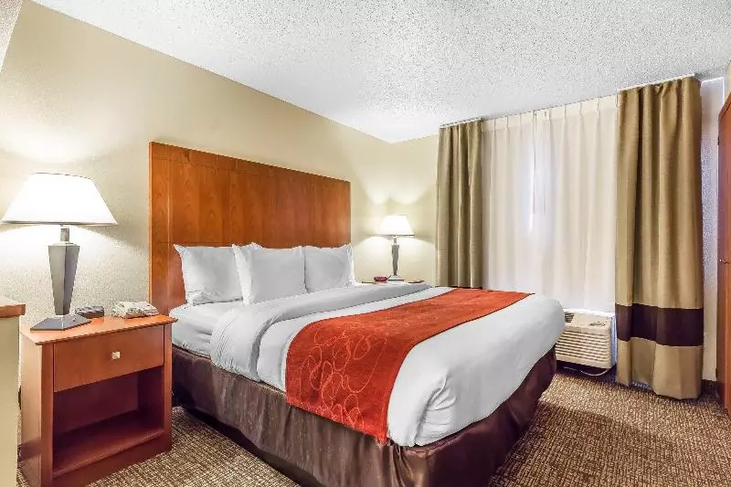 Fotos del hotel Comfort Suites North Dallas:  2