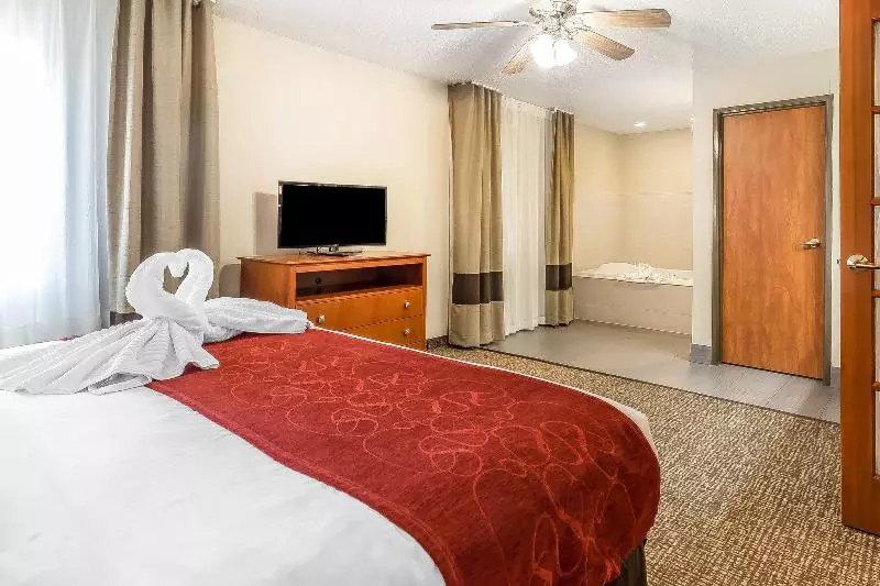 Comfort Suites North Dallas