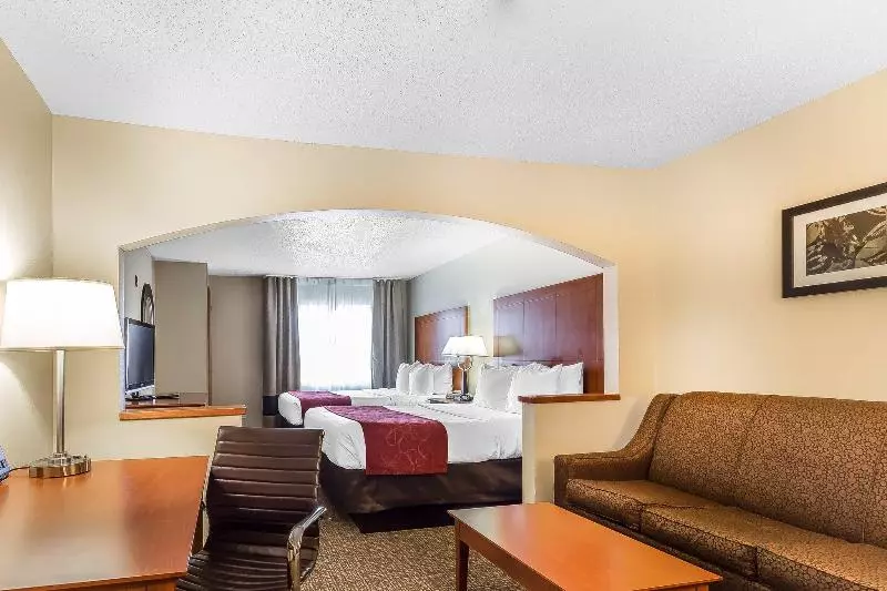 Fotos del hotel Comfort Suites North Dallas:  4