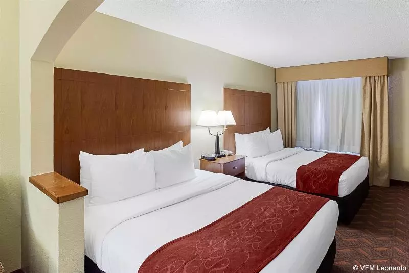 Fotos del hotel Comfort Suites North Dallas:  3