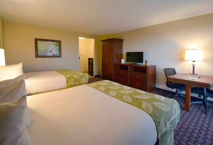 Fotos del hotel Rosen Inn Closest To Universal:  2