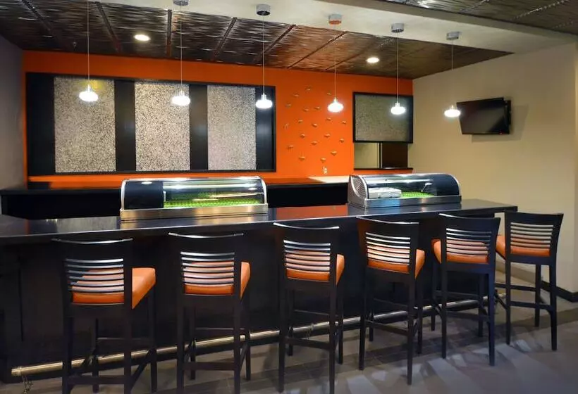 Fotos del hotel Rosen Inn Closest To Universal:  12