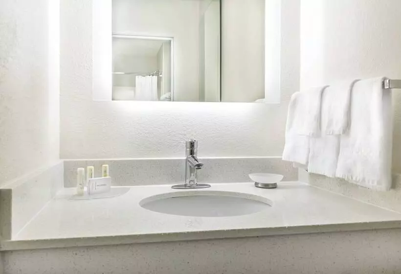 Fotos del hotel Springhill Suites By Marriott Houston Brookhollow:  14