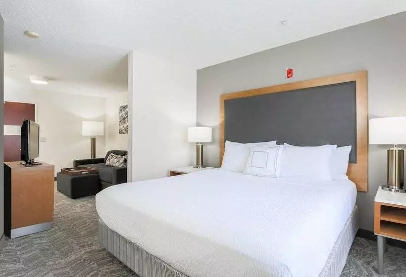 Fotos del hotel Springhill Suites By Marriott Houston Brookhollow:  15