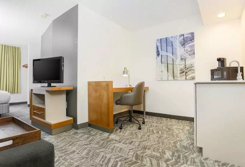 Fotos del hotel Springhill Suites By Marriott Houston Brookhollow:  19