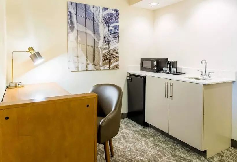 Fotos del hotel Springhill Suites By Marriott Houston Brookhollow:  25