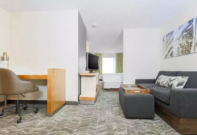 Fotos del hotel Springhill Suites By Marriott Houston Brookhollow:  23