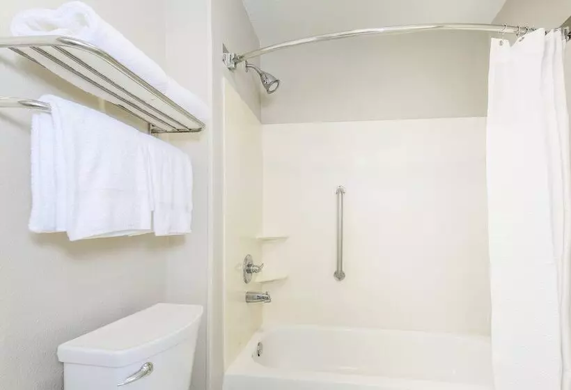 Fotos del hotel Springhill Suites By Marriott Houston Brookhollow:  7