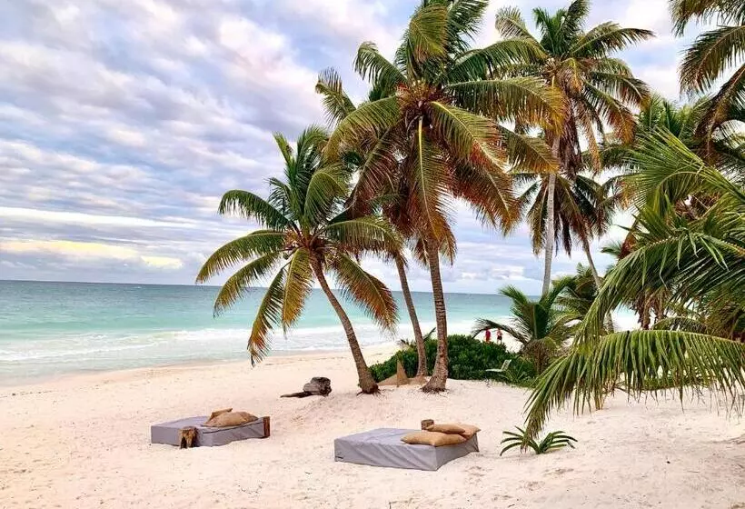 Fotos del hotel Libelula Tulum:  10
