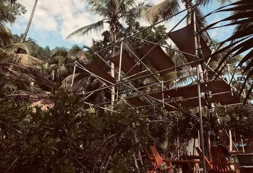 Fotos del hotel Libelula Tulum:  6