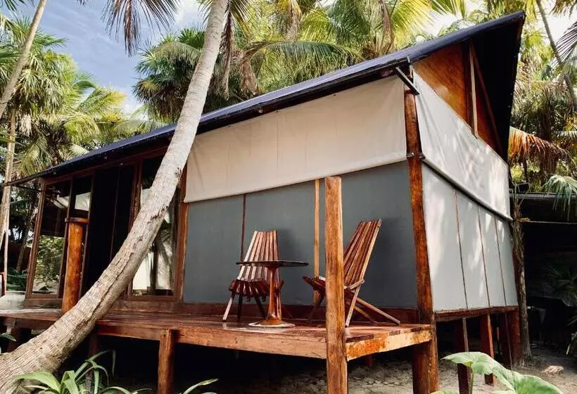 Fotos del hotel Libelula Tulum:  20