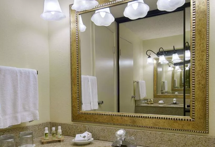 Fotos del hotel Red Lion Hotel Seattle Airport:  21