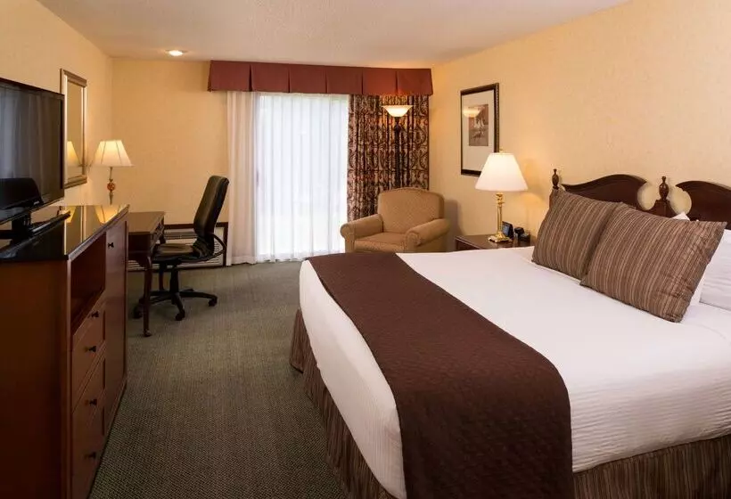 Fotos del hotel Red Lion Hotel Seattle Airport:  16