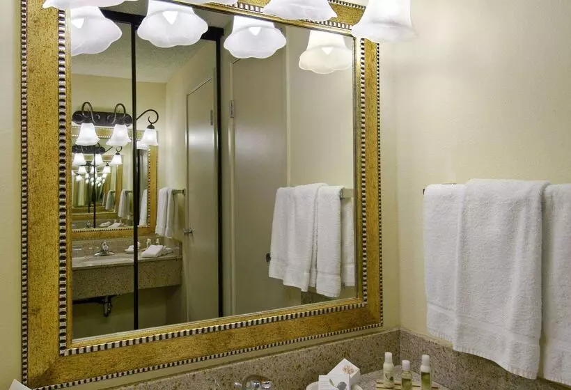 Fotos del hotel Red Lion Hotel Seattle Airport:  9