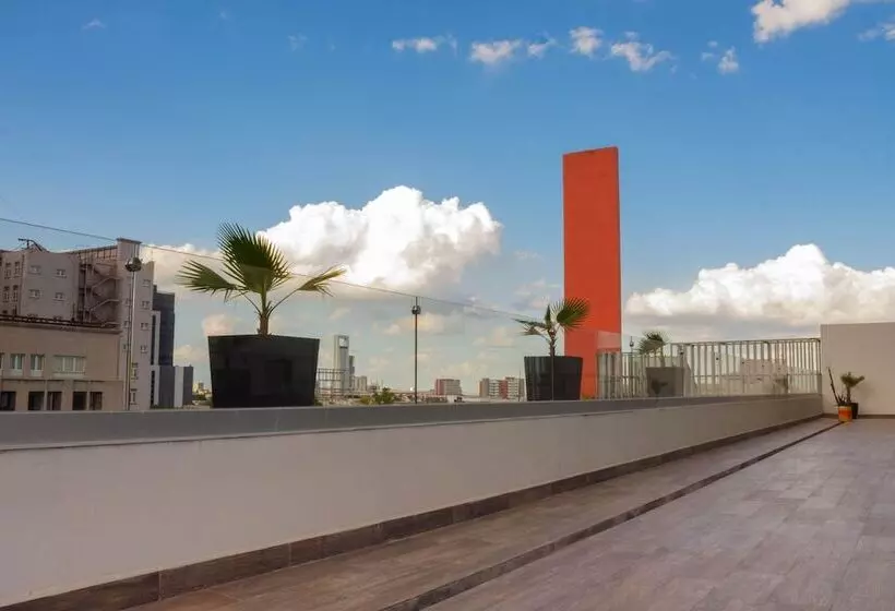 Fotos del hotel Kavia Monterrey:  16