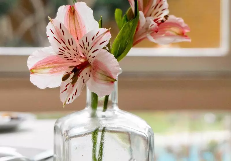 Fotos del hotel Basadre Suites:  14