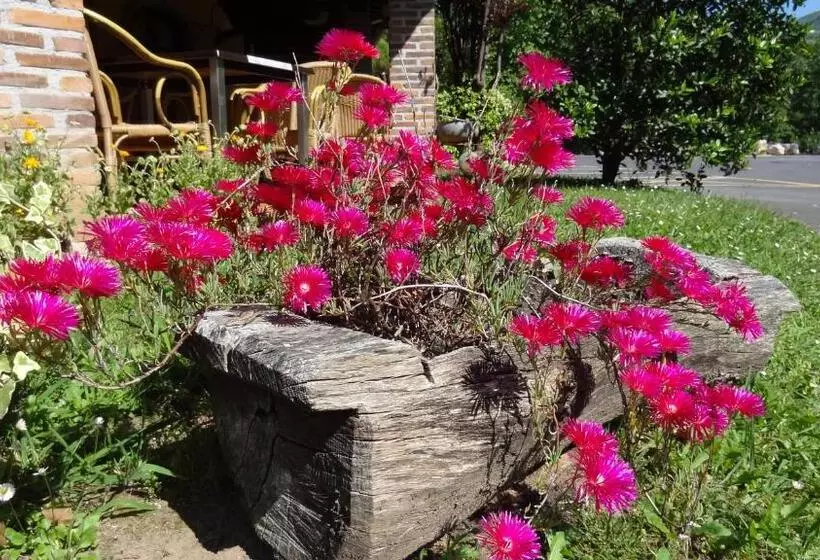 Fotos del hotel El Bricial:  11