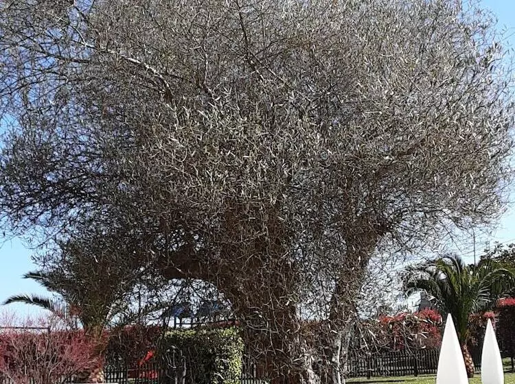 Fotos del hotel Marqués De La Moral:  5