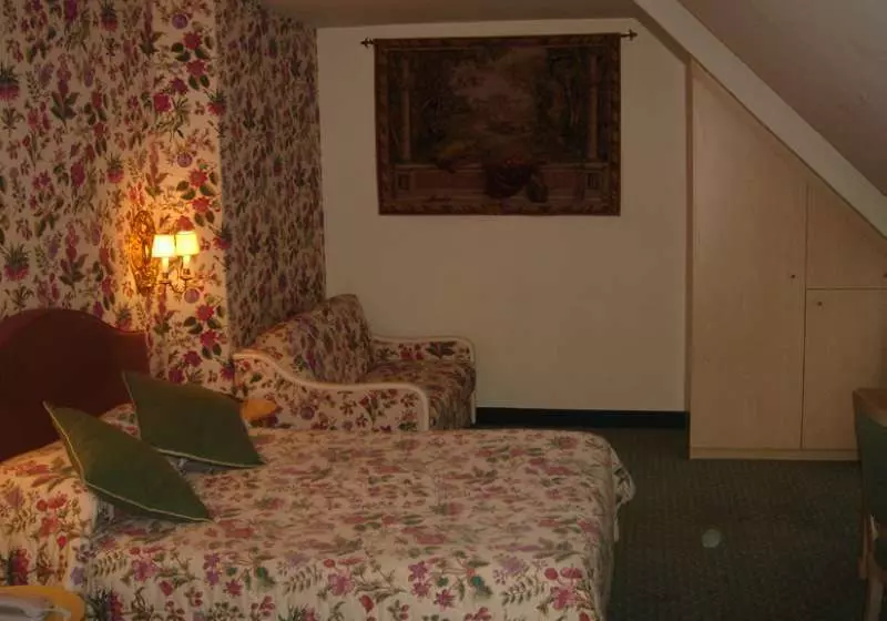 Fotos del hotel Hôtel Central Saint Germain:  16