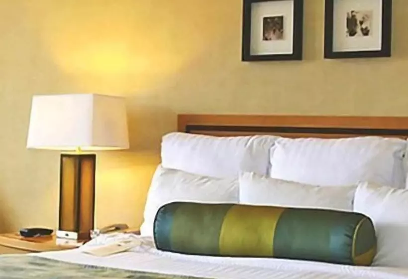 Fotos del hotel Best Western Hotel Ramanashree Mysore:  6