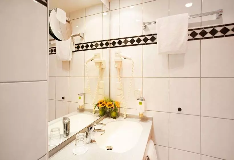 Fotos del hotel Plaza:  6