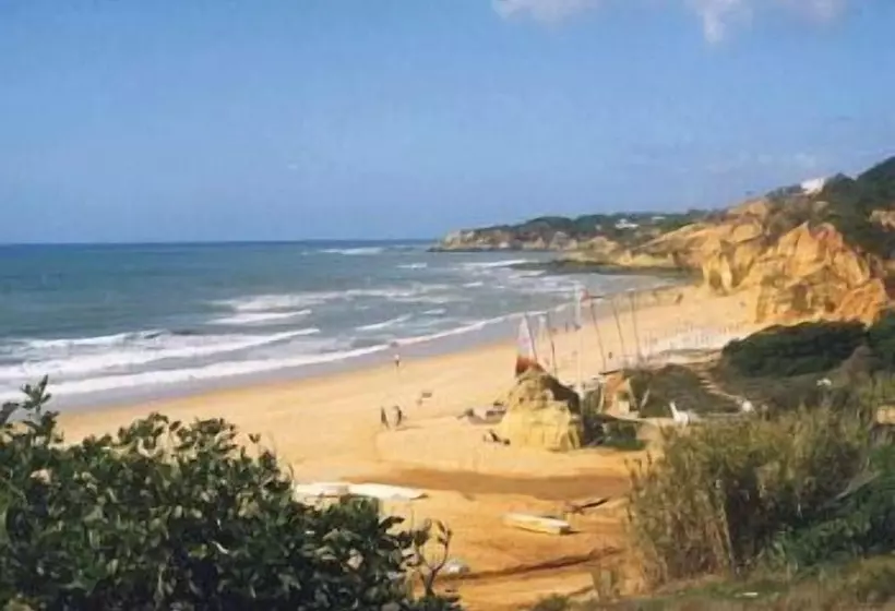 Fotos del hotel Balaia Mar:  12