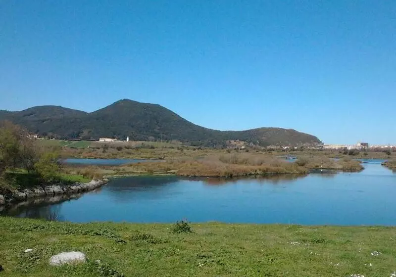 Fotos del hotel Mar Azul & Surf:  11