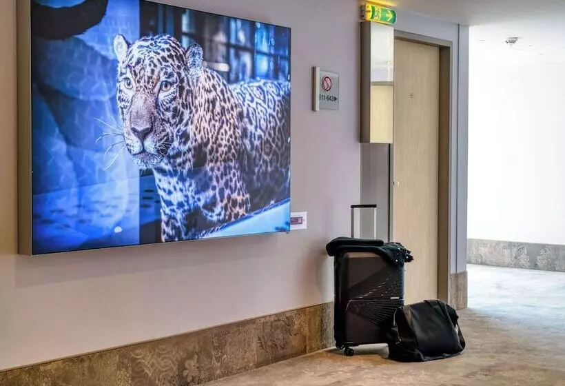 Fotos del hotel Mercure Hotel Berlin City:  19